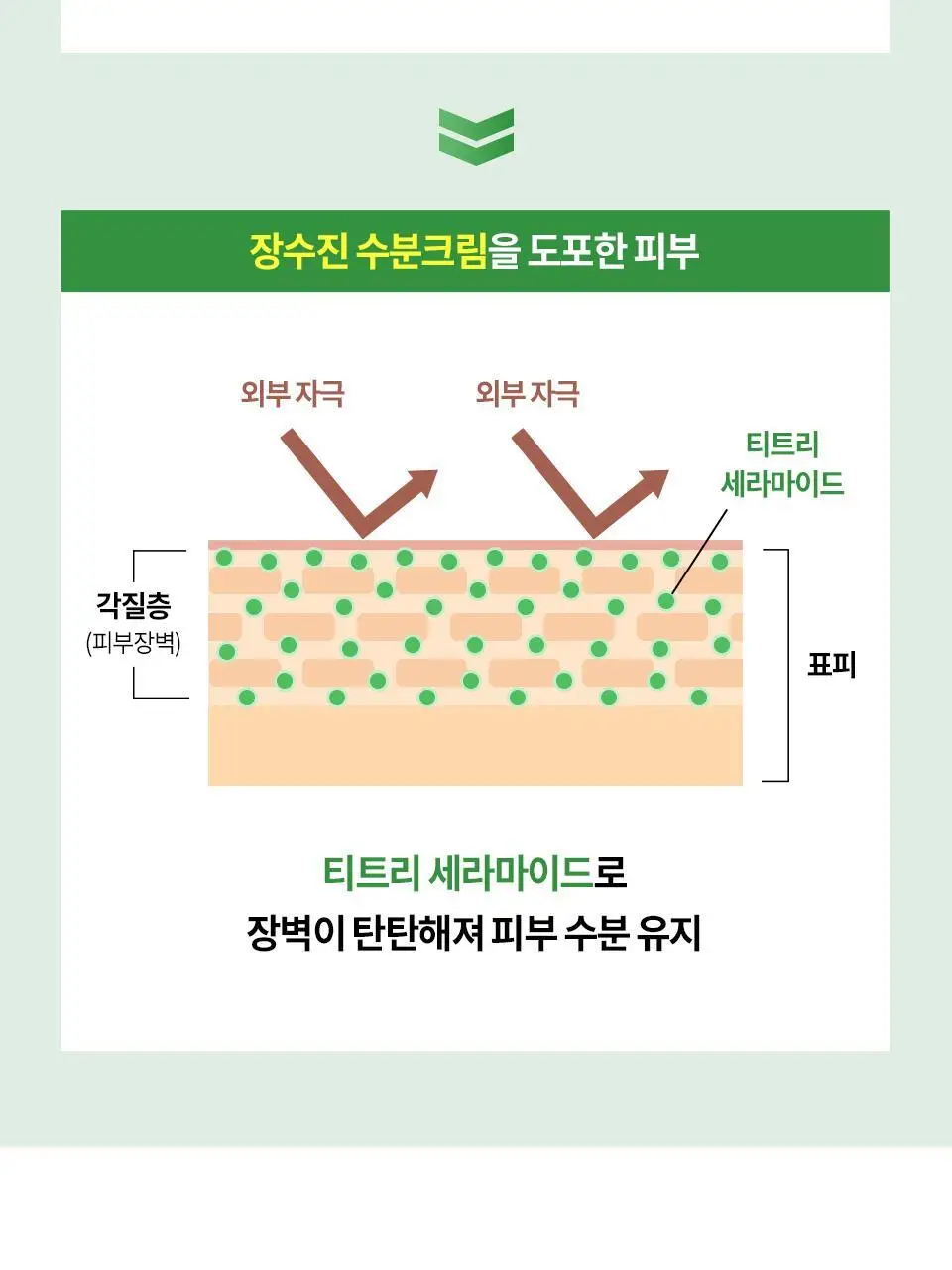 [수분엔젤광] 아이소이 모이스춰 닥터 장수진 수분크림 50ml 1+1 기획 (+20ml) 상세페이지 15